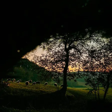 Apartamento Turístico Rural Casa Chaín Lugo