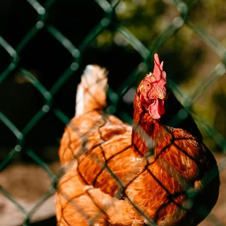 Turístico Rural Casa Chaín