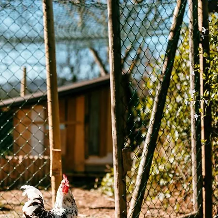 Turístico Rural Casa Chaín Lugo