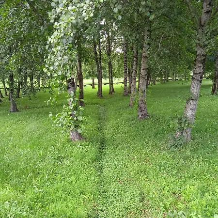 Turístico Rural Casa Chaín Lugo