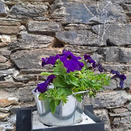 Apartment Turistico Rural Casa Chain Lugo