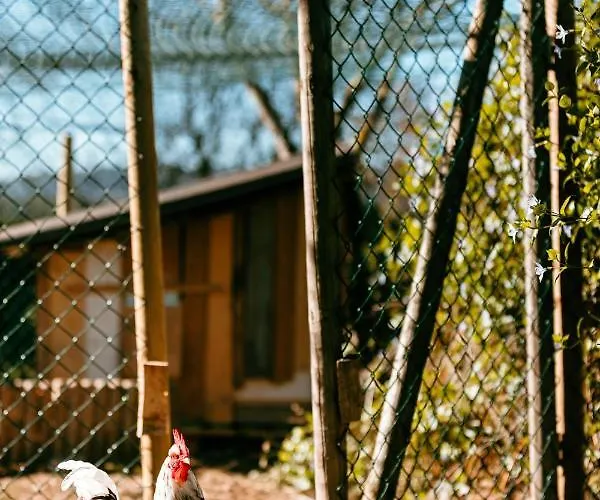 Turistico Rural Casa Chain Lugo